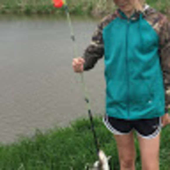 Meet your Posher, Cassidy - Picture 1 of 1